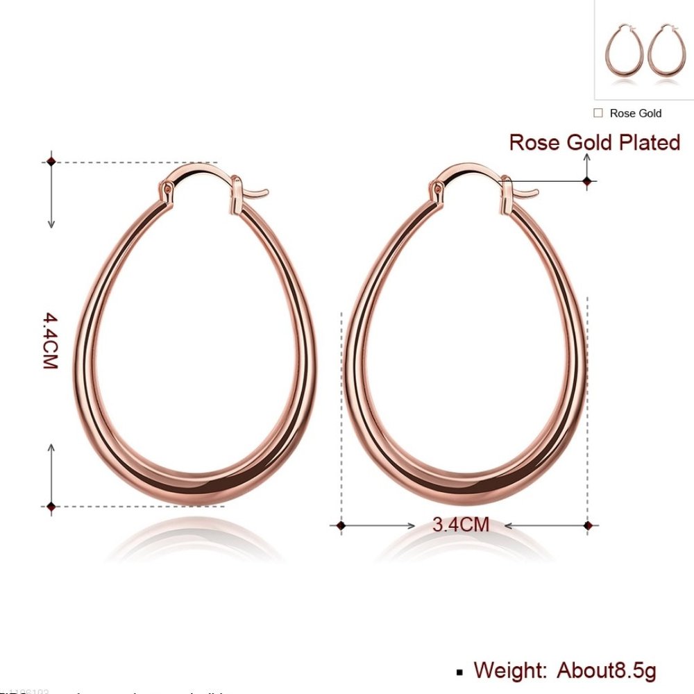 NEW Rose Gold Oval Hoop Earrings - Picture 4 of 4